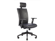 Leather Executive Chair CG-531