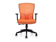 Mesh Staff Chair